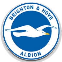 Brighton and Hove Albion Banner