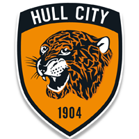 Hull City Banner